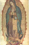 Guadalupe.jpg (32989 bytes)